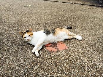 《浪人崛起》总监：希望在2025年发布一款新游