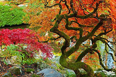 腾讯数字资产继承专利曝光 你的QQ＆游戏账号后继有人了