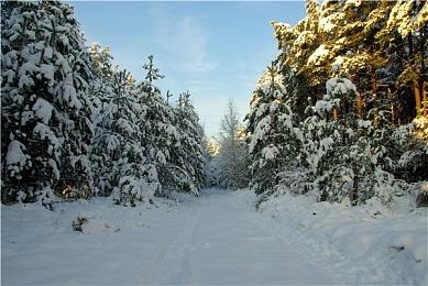 CDPR又辟谣：《赛博朋克2077》新DLC不会加入地铁系统